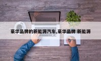 豪华品牌的新能源汽车,豪华品牌 新能源